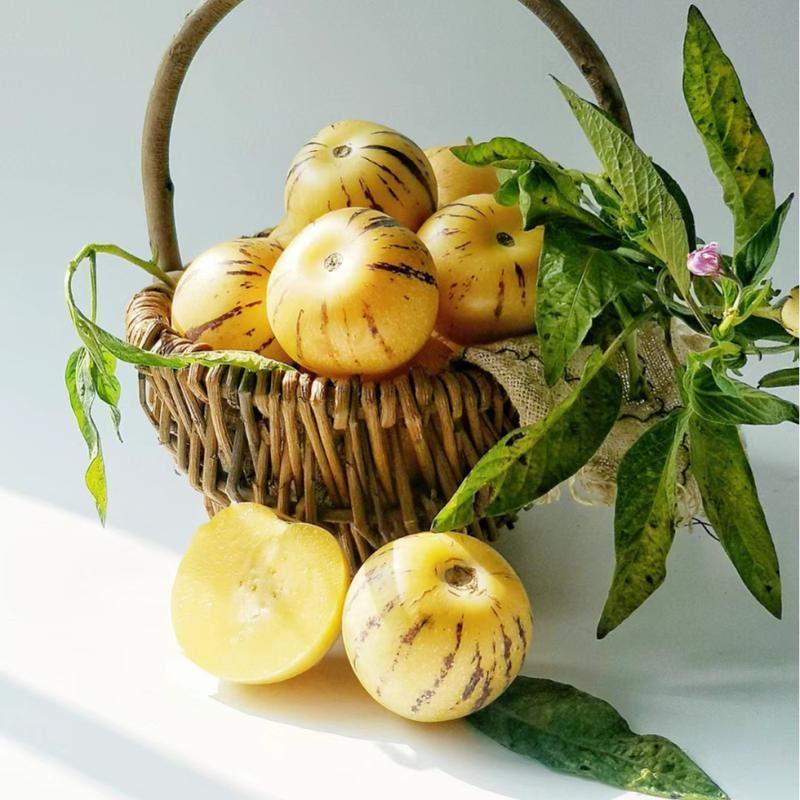 Heirloom Pepino Melon Seeds, Sweet & Juicy Pepino Fruit Seeds, Non-GMO Exotic Seeds for Home Garden Planting-VEX