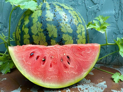 Fast-growing watermelon seeds allow you to enjoy sweet, juicy fruit all summer long — a must-have for every home garden.-CJP