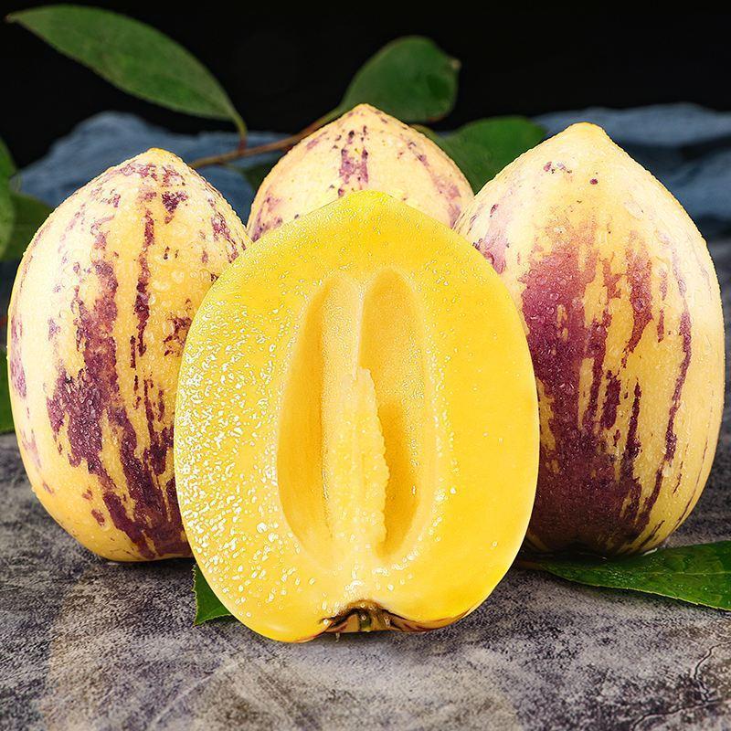 Heirloom Pepino Melon Seeds, Sweet & Juicy Pepino Fruit Seeds, Non-GMO Exotic Seeds for Home Garden Planting-VEX