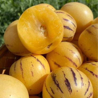 Heirloom Pepino Melon Seeds, Sweet & Juicy Pepino Fruit Seeds, Non-GMO Exotic Seeds for Home Garden Planting-VEX