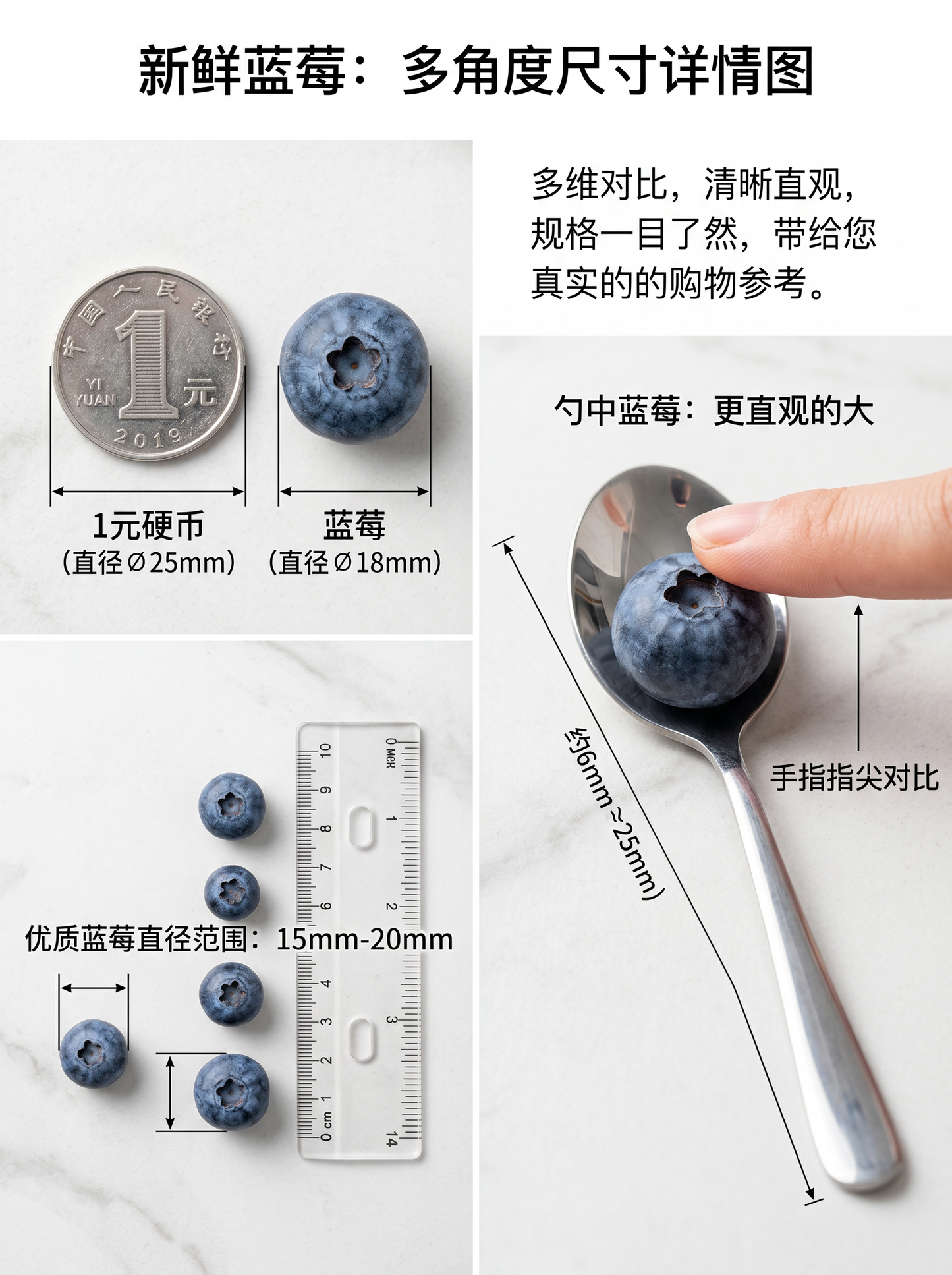 Fresh Blueberries | Juicy & Sweet Berry Basket | Premium Handpicked Fruit-TTT