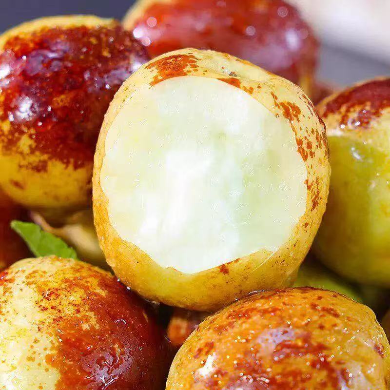 Eat winter jujube regularly, nutritious and healthy-OKN