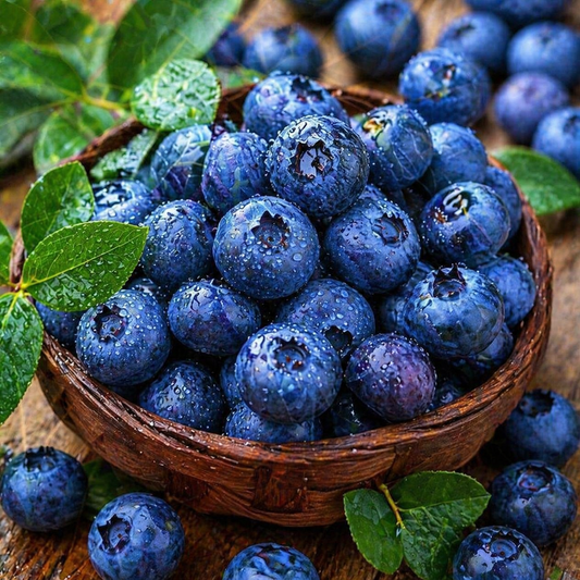 Fresh Blueberries | Juicy & Sweet Berry Basket | Premium Handpicked Fruit-TTT