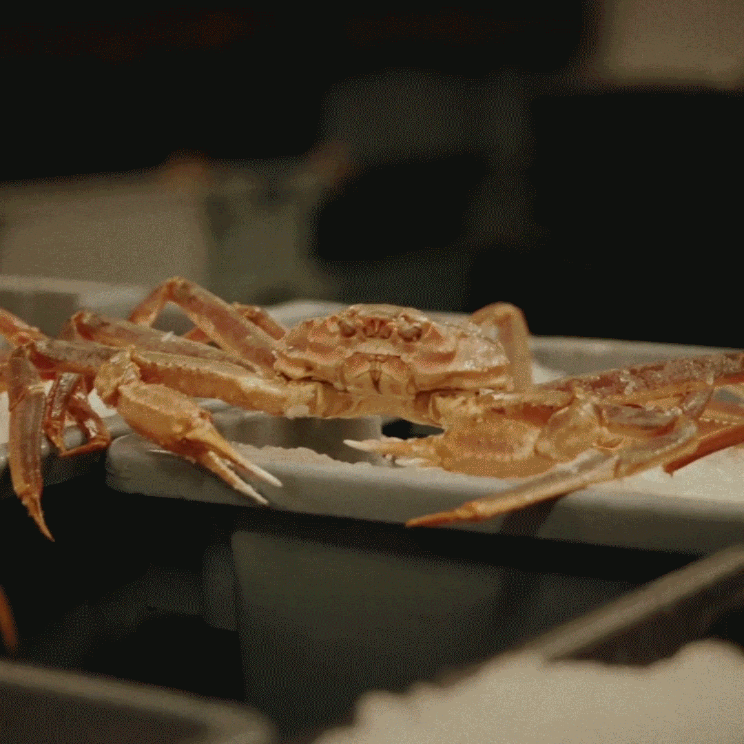 🦀High Protein Crab Leg Seafood Snack, Low Carb Friendly, Ready-to-Eat Ocean Flavor Treat