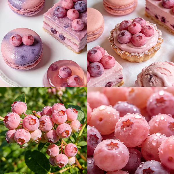 🔥50K+ SOLD!💟Premium Pink Blueberry Seeds🌱-😋A Uniquely Delightful Taste-YOY