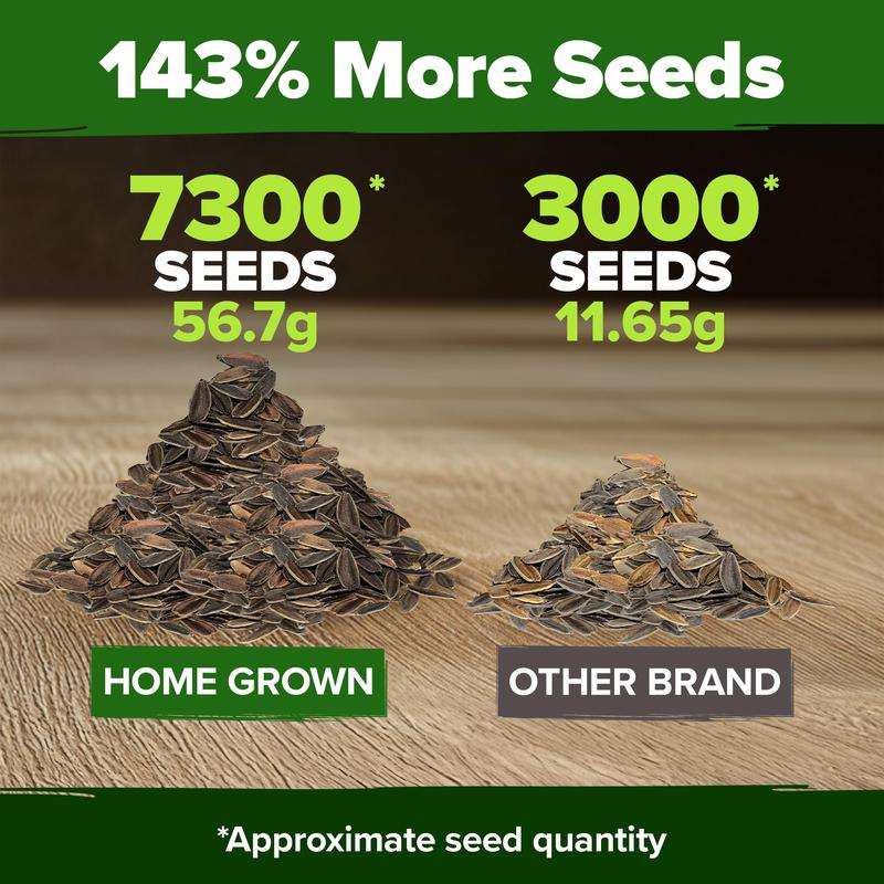 Zinnia Seeds - Pure Seeds - No Filler - USA Heirloom Flower Seeds-VIM