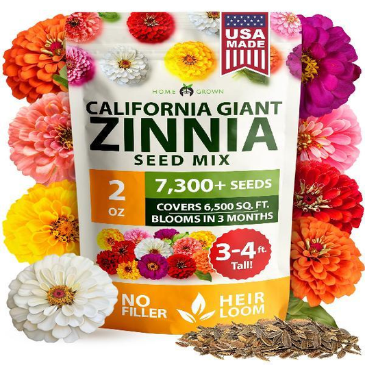 Zinnia Seeds - Pure Seeds - No Filler - USA Heirloom Flower Seeds-VIM
